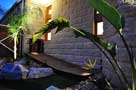 bird-of-paradise-THUMB