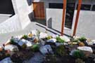 landscaping-frontyard-view-THUMB