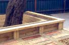 retaining-tree-THUMB