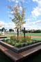 landscaping-merbau-seat-THUMB