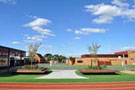 landscaping-planter-boxes-THUMB